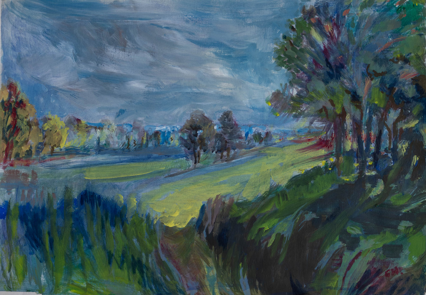 Richmond Park in Summer