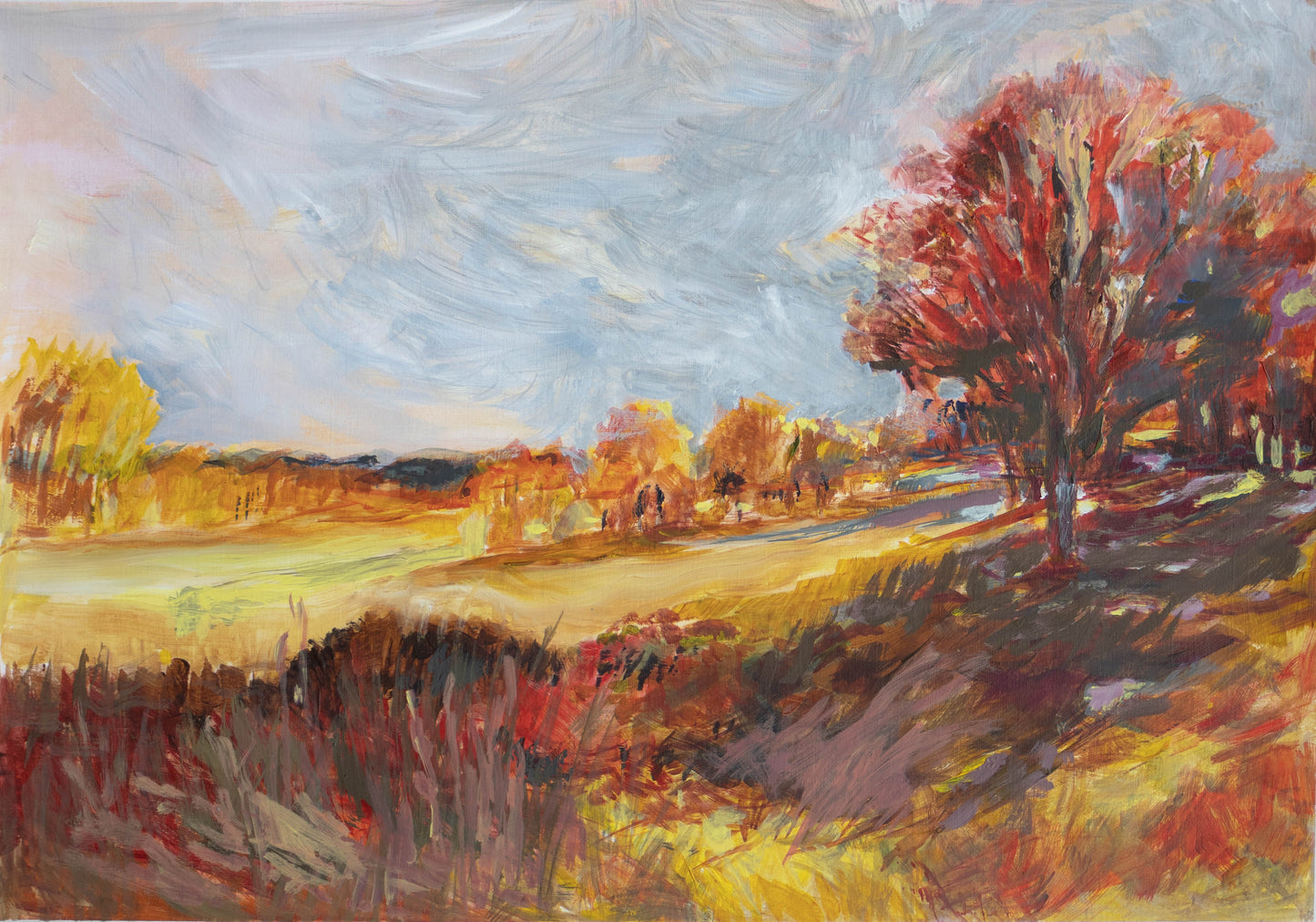 Richmond Park in Autumn